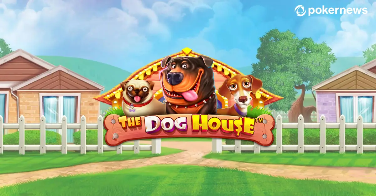 Dog House Megaways – høj volatilitet slot